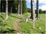 Rudno polje - Debeli vrh above Lipanca